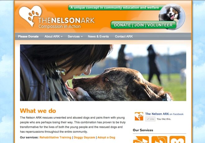 Nelson Ark wordpress website
