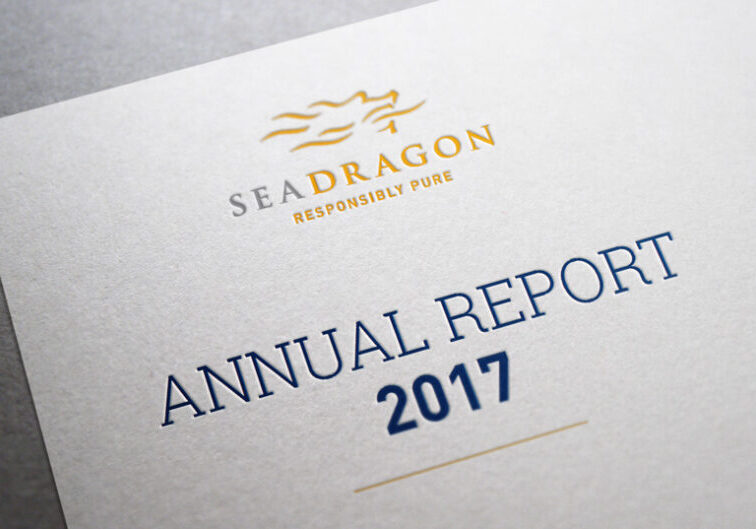 SeaDragon 2017 annual report design